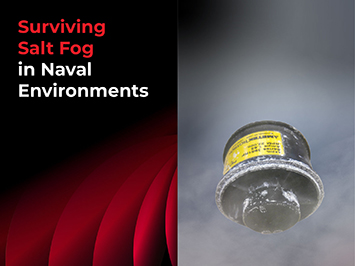 Surviving salt fog in naval environments