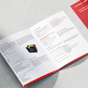 Brochures and Flyers